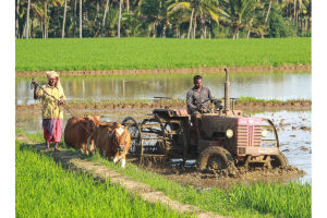 What Is a Partial Agricultural Income Tax in India?