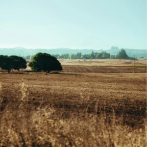 Things to know about Greater Noida Commercial Plot Scheme