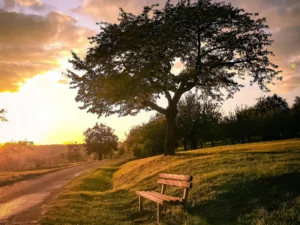 Hinduja Group: GOCL to Monetise Land Parcel in Kukatpally for Rs 3,402 cr