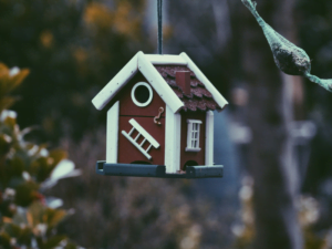 Illegal Property: How to Deal With Illegal Possession