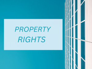 Are You Familiar with Intellectual Property Rights?