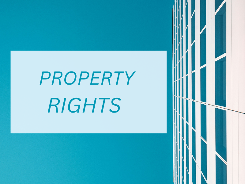Are You Familiar with Intellectual Property Rights?