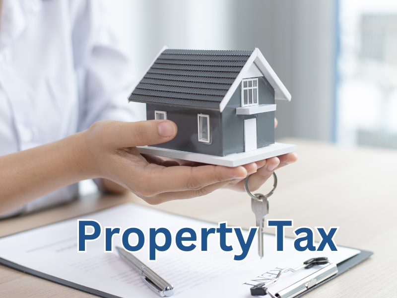 Property Taxes: A Comprehensive Homeowner's Guide