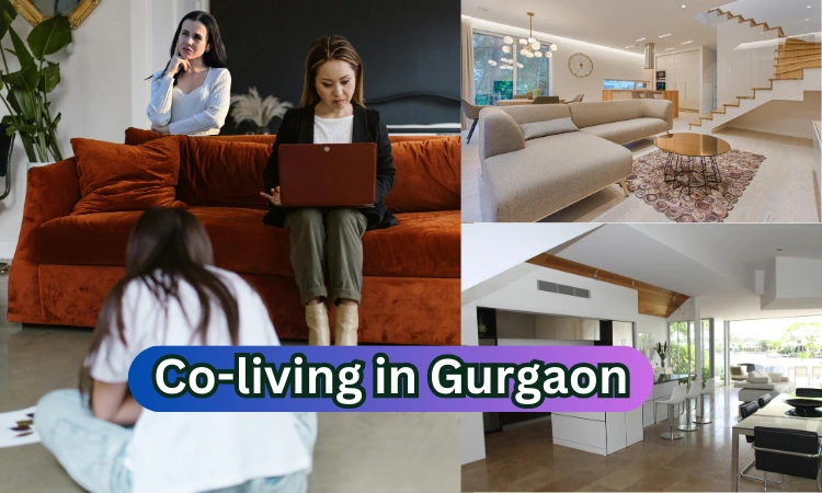 What Are the Pros and Cons of Co-living in Gurgaon?