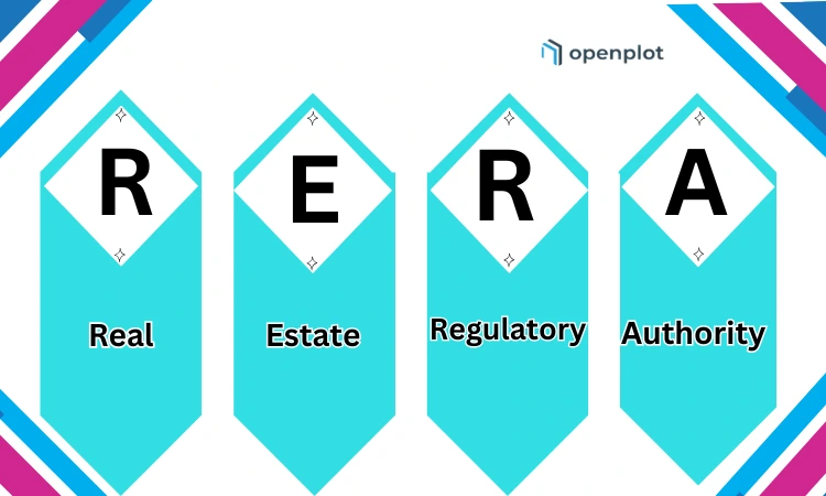 Advantages and Disadvantages of the Real Estate Regulatory Authority (RERA) Act