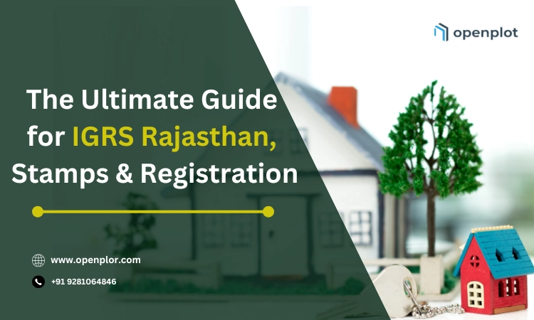 The Ultimate Guide for IGRS Rajasthan, Stamps and Registration