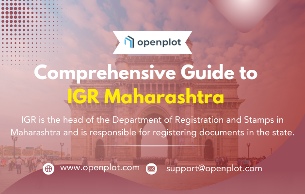 The Ultimate Guide for IGR Maharashtra