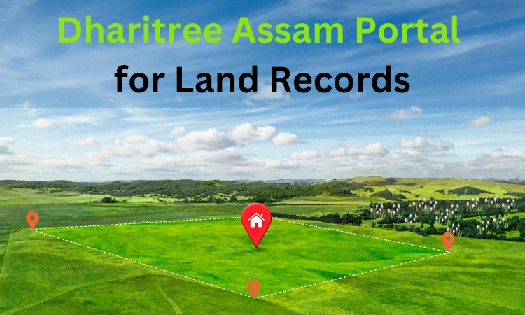 How to Navigate the Dharitree Assam Portal for Land Records?