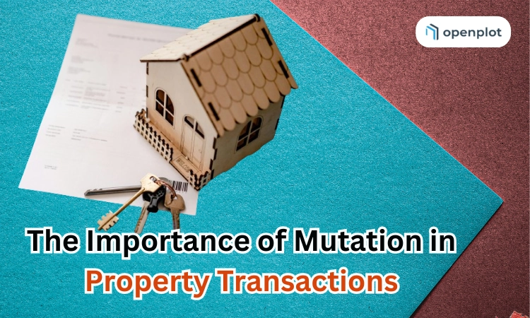 The Importance of Mutation in Property Transactions