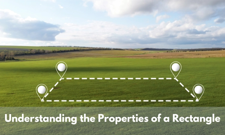 Understanding the Properties of a Rectangle and Its Relevance in Plot Layouts