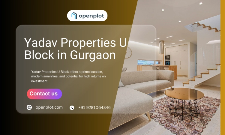 Yadav Properties U Block in Gurgaon: What You Should Know Before Investing?