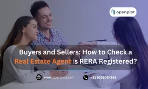 Buyers and Sellers: How to Check Real Estate Agent is RERA Registered?