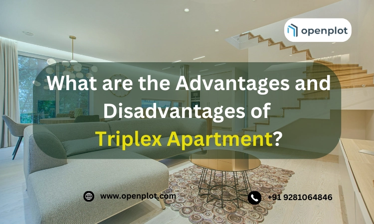 What are the Advantages and Disadvantages of Triplex Apartment?