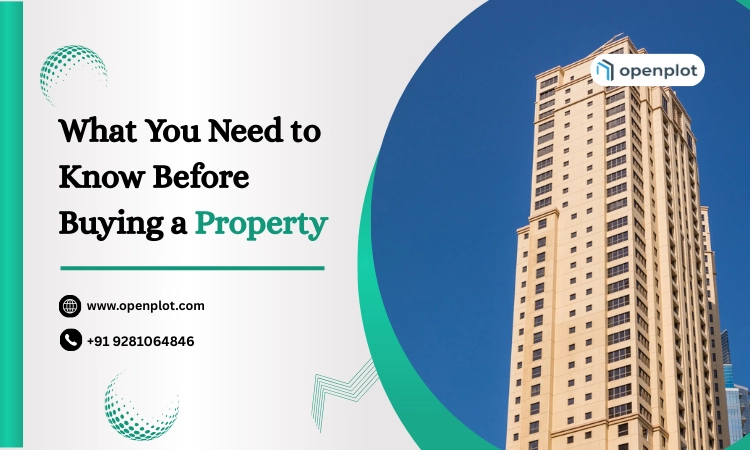 What You Need to Know Before Purchasing Property buyers?