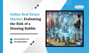Indian Real Estate Market: Evaluating the Risk of a Housing Bubble